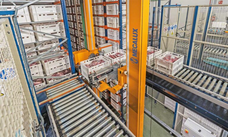 Automated Cold Storage Warehouse: Ultimate Guide to Efficient and Smart Refrigerated Logistics